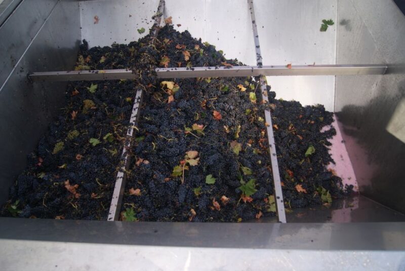 Rioja Winery & Traditional Lunch From Pamplona or Logroño - Transportation & Logistics: Making It Easy
