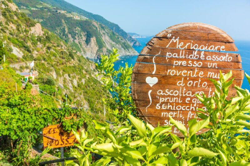 riomaggiore-vineyard-wine-cellar-tour-with-wine-tasting