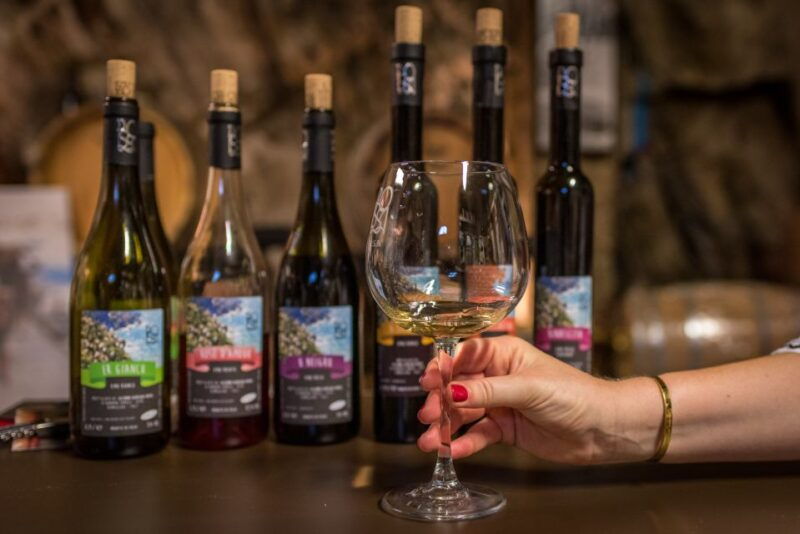 riomaggiore-vineyard-wine-cellar-tour-with-wine-tasting