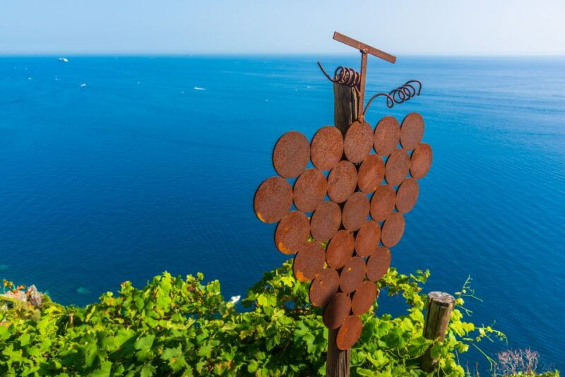 riomaggiore-vineyard-wine-cellar-tour-with-wine-tasting