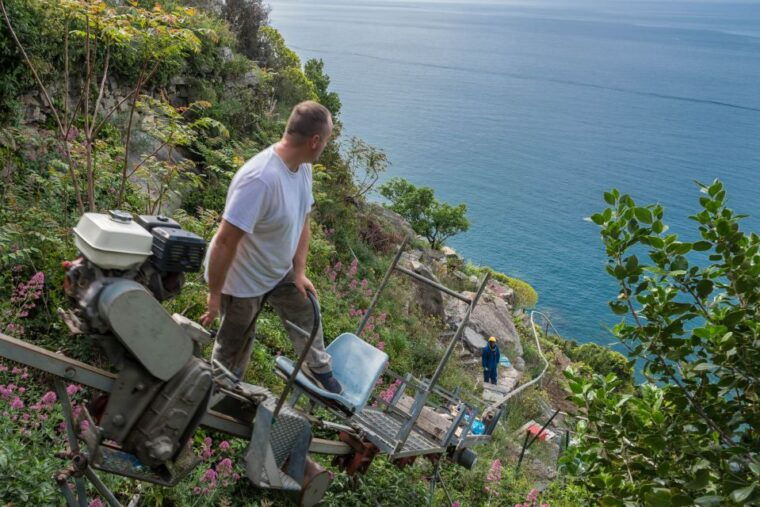 riomaggiore-vineyard-wine-cellar-tour-with-wine-tasting