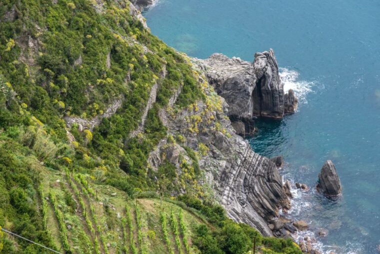 riomaggiore-vineyard-wine-cellar-tour-with-wine-tasting