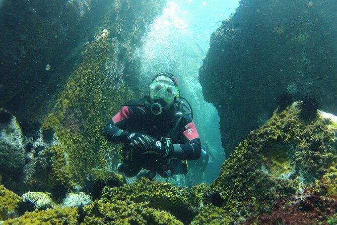 rios-best-dive-experience-all-inclusive-scuba-diving-package