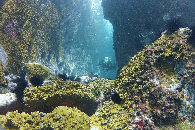 rios-best-dive-experience-all-inclusive-scuba-diving-package