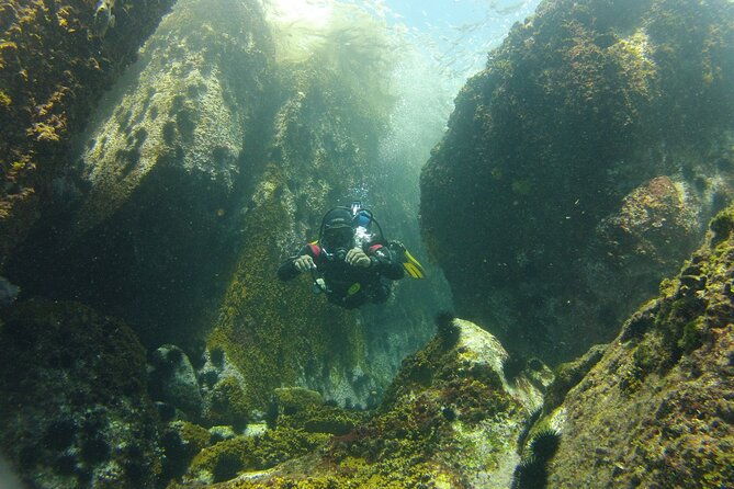 rios-best-dive-experience-all-inclusive-scuba-diving-package