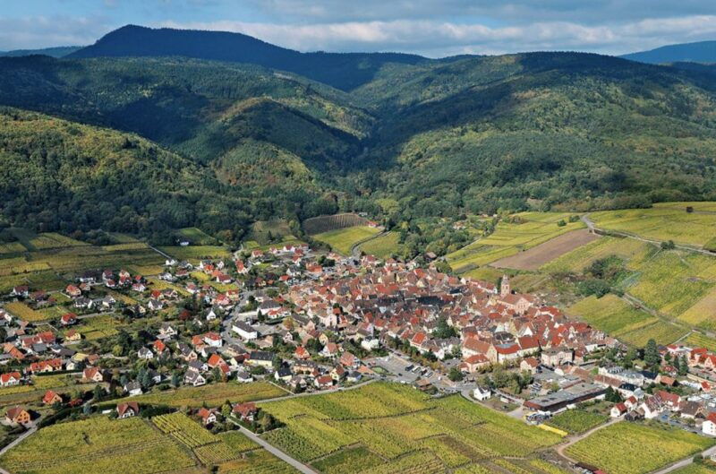 riquewihr-private-guided-walking-tour-2