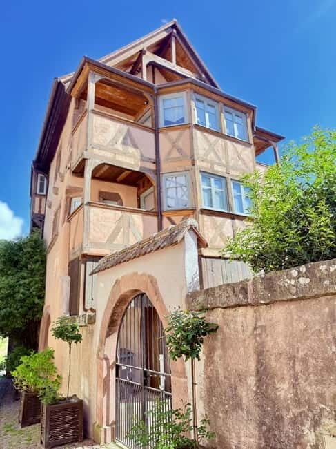 Riquewihr: the pearl of the vineyards with a local guide and tastings - Riquewihr: the pearl of the vineyards with a local guide and tastings