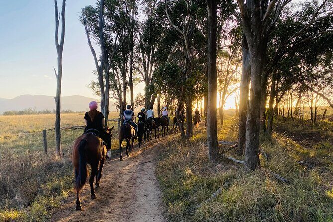 Rise and Shine 75 Minutes Early Morning Ride - Pricing and Value