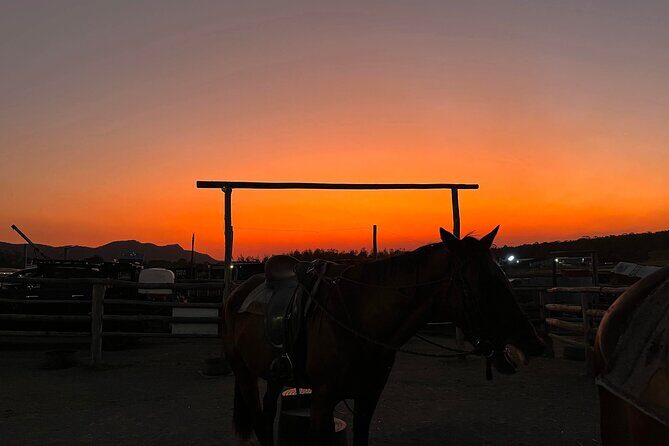 Rise and Shine 75 Minutes Early Morning Ride - Who Will Love This Experience?