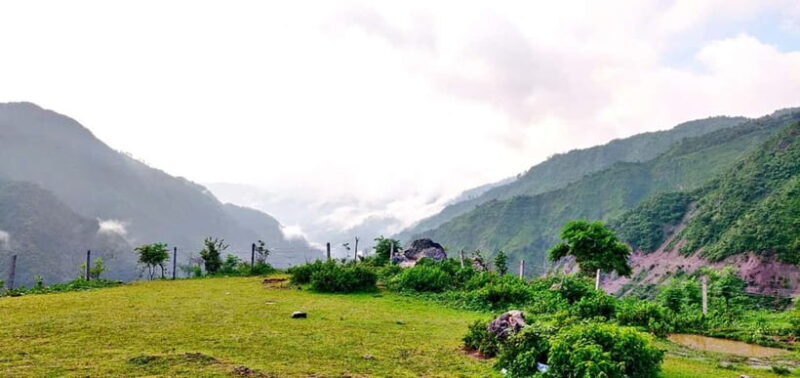 Rishikesh: Alpine Camping and Sunrise Trek in Etharna - A Detailed Look at the Experience