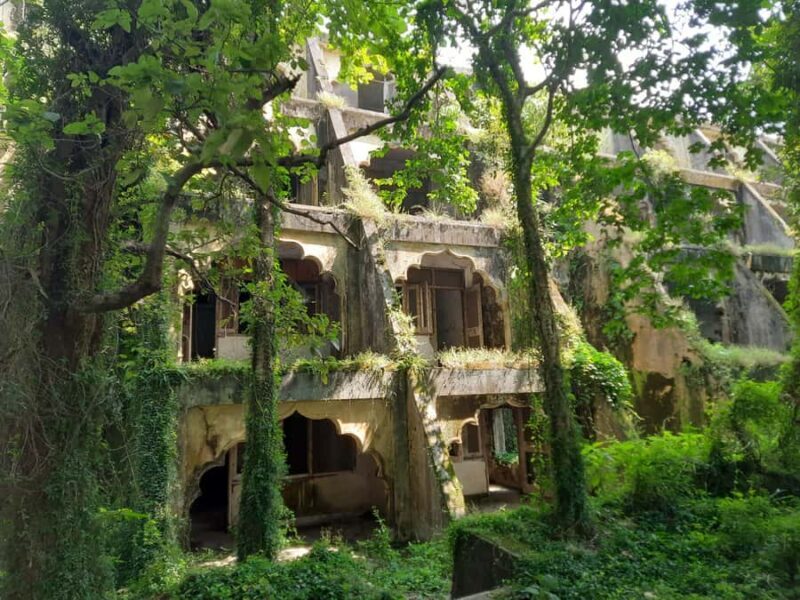 Rishikesh: Beatles Ashram Guided Tour along the Ganges - Final Thoughts