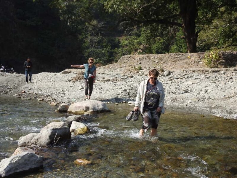 Rishikesh: Gohri Range Hike, Temple Visit, & Transfer - Practical Details and What to Expect