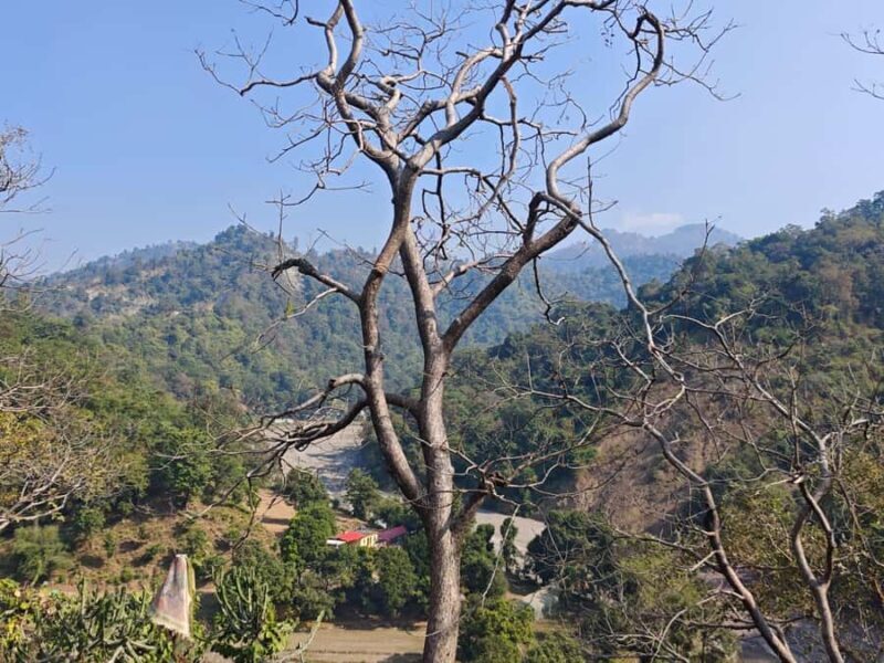 Rishikesh: Gohri Range Hike, Temple Visit, & Transfer - FAQ