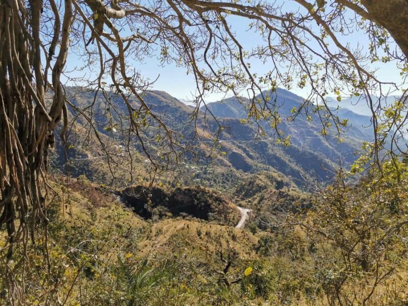 Rishikesh: Kunjapuri Temple Trek with Guide - Rishikesh: Kunjapuri Temple Trek with Guide