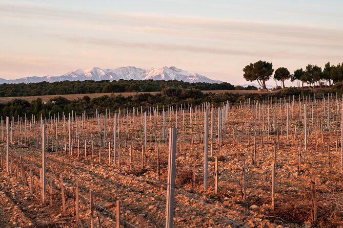 Rivaltes  Secrets of the Terroir and Tasting of Unique Wines! - Final Thoughts  