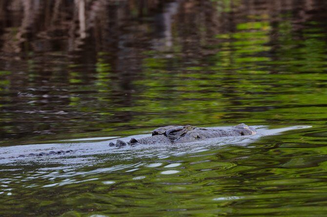 River Cruise - Final Thoughts