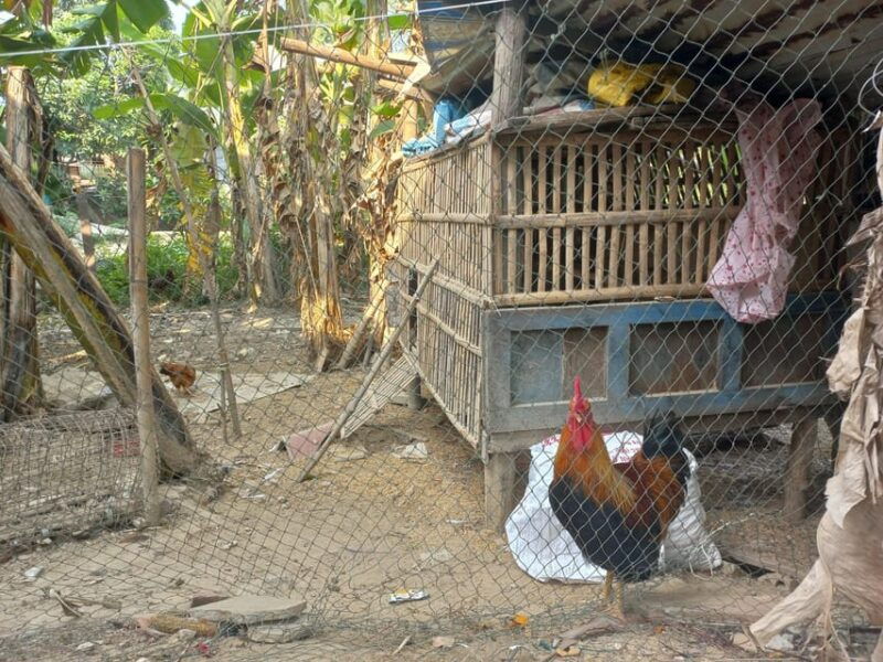 river-cruise-discover-the-beauty-of-hoi-ans-countryside