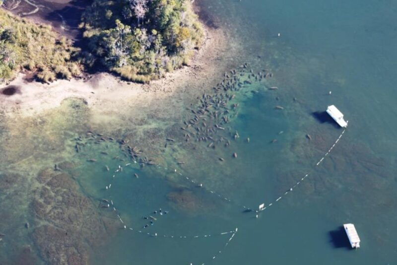 river-cruise-with-manatee-viewing
