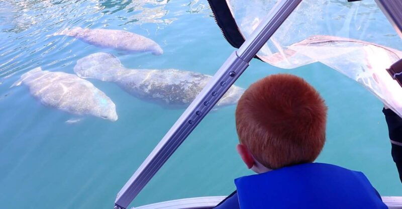 river-cruise-with-manatee-viewing