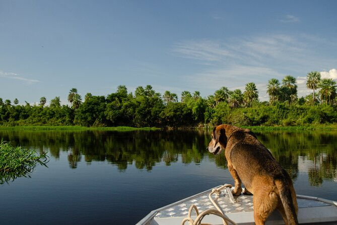 river-eco-tourism-on-the-paraguay-river