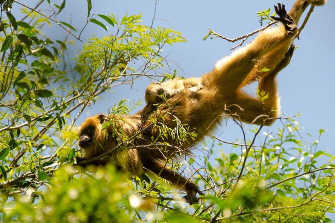 river-eco-tourism-on-the-paraguay-river