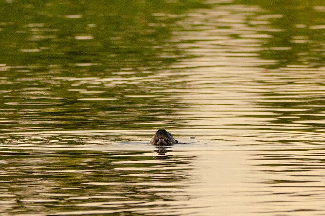 river-eco-tourism-on-the-paraguay-river