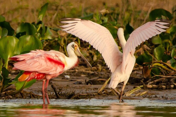 river-eco-tourism-on-the-paraguay-river