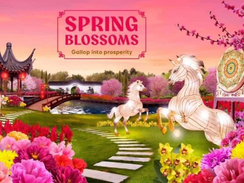 River Hongbao Tour - Who Will Love This Tour?