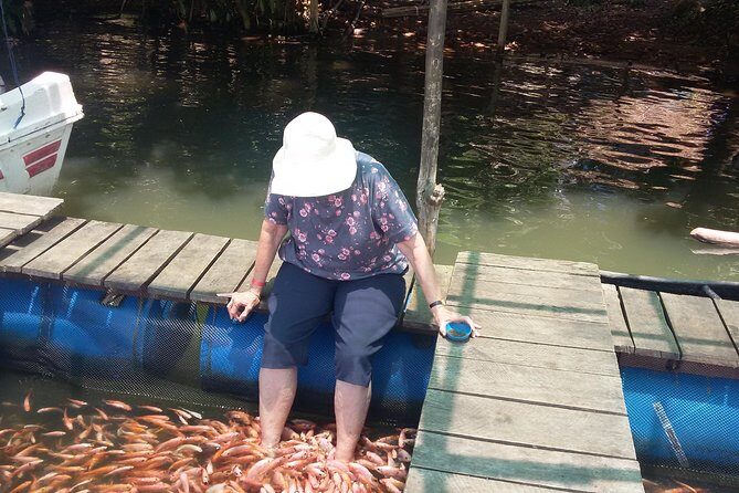 River Safari Bentota - The Sum Up