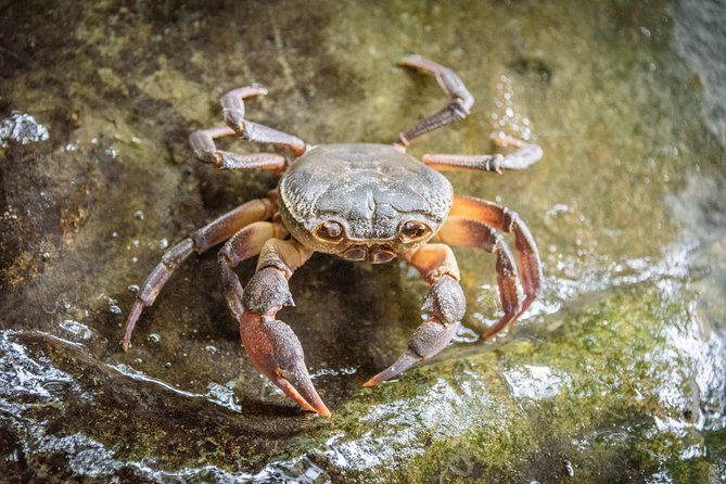 river-trekking-in-neda-2