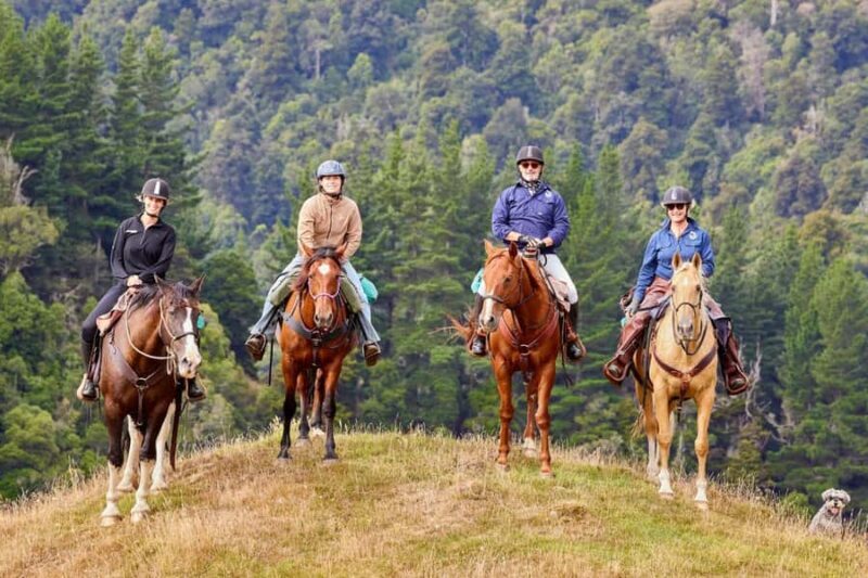 River Valley Lodge: High Country Enchantment Horse Trek - Key Points