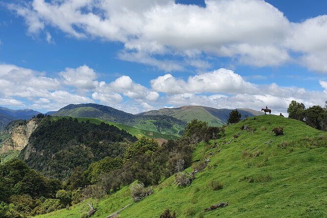River Valley Stables - Burn The Breeze, Half Day Horse Ride For Riders - Key Points