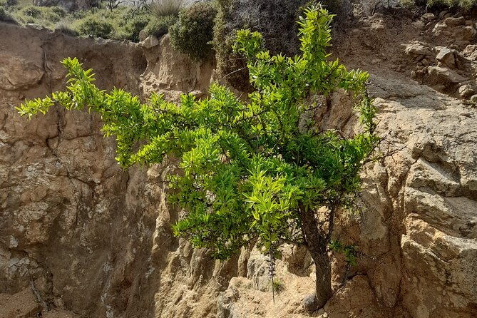 riverbank-adventure-in-naxos-kinidaros-eggares-2