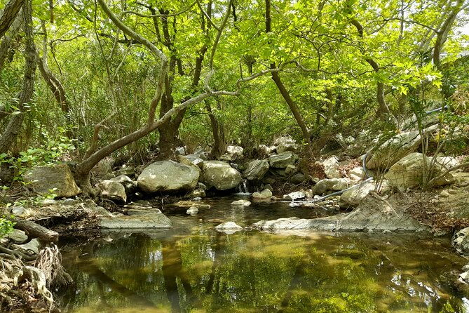 riverbank-adventure-in-naxos-kinidaros-eggares