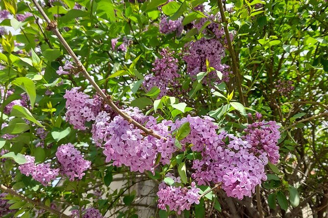 riverbank-adventure-in-naxos-kinidaros-eggares