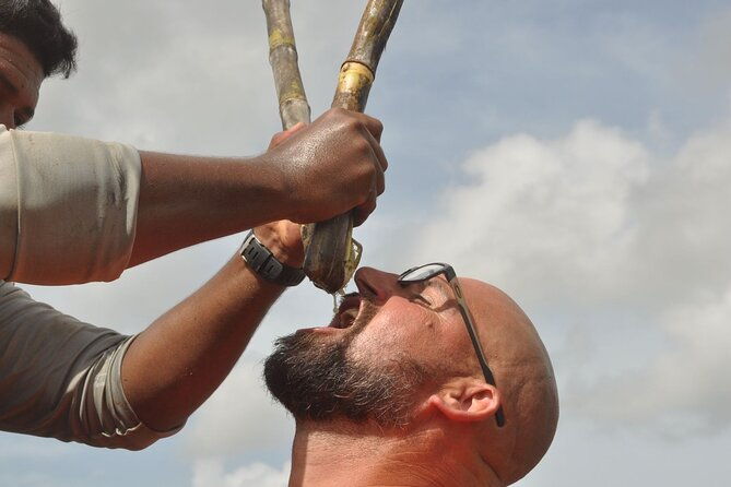 rivers-jungle-with-buggies-adventure-in-bayahibe