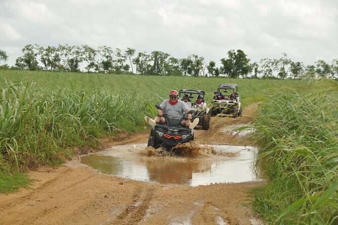 rivers-jungle-with-buggies-adventure-in-bayahibe