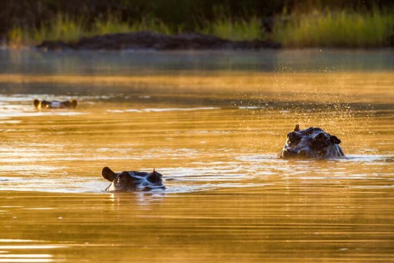 Riversong Sunset Luxury Zambezi Cruise - Who Is This Cruise Best For?