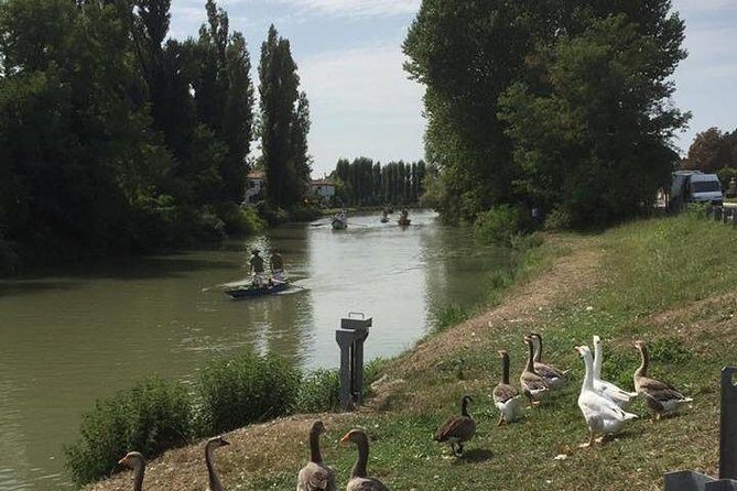 Riviera del Brenta Bike Tour - Why This Tour Works for You