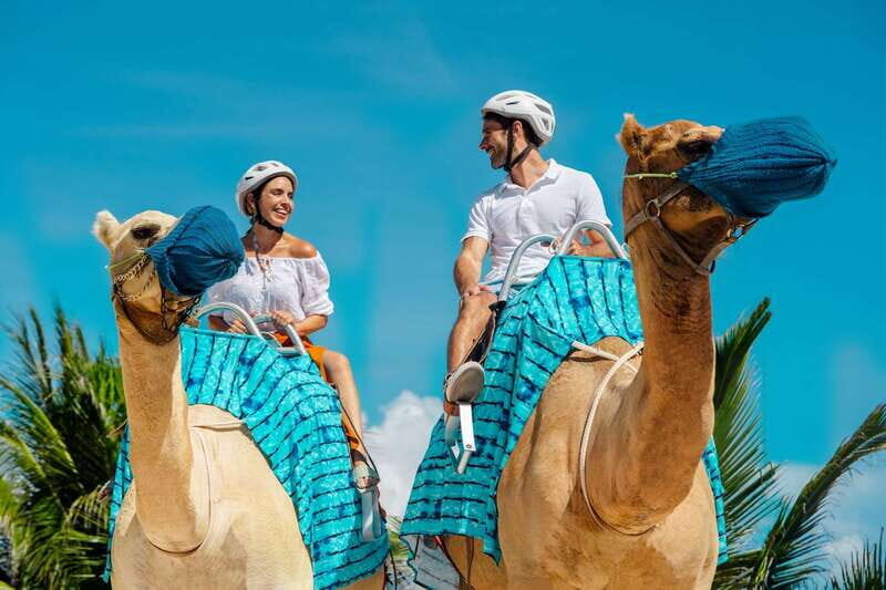 Riviera Maya: Camel Caravan Expedition and Beach Club Access - What to Expect from the Riviera Maya Camel Caravan Tour