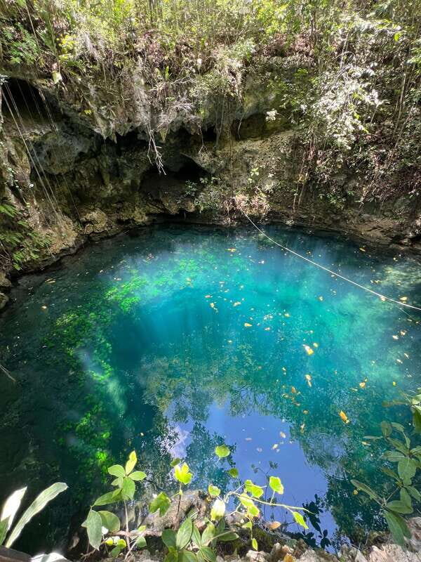 Riviera Maya: Cenotes & Jungle Gay Adventure - Key Points