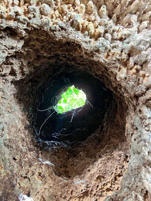 Riviera Maya: Cenotes & Jungle Gay Adventure - A Complete Breakdown of the Riviera Maya Cenotes & Jungle Tour