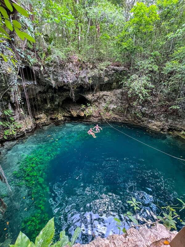 Riviera Maya: Cenotes & Jungle Gay Adventure - Who Would Love This Experience?