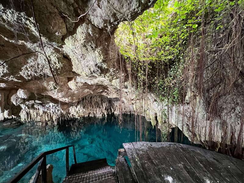 Riviera Maya: Cenotes & Jungle Gay Adventure - Final Thoughts
