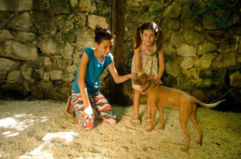 riviera-maya-croco-cun-interactive-zoo-tour