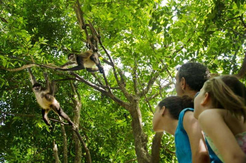 riviera-maya-croco-cun-interactive-zoo-tour