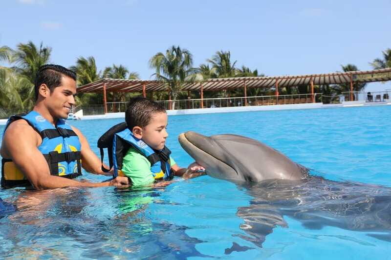 Riviera Maya: Dolphin Encounter with Beach Club Access - About the Experience Provider and Reviews