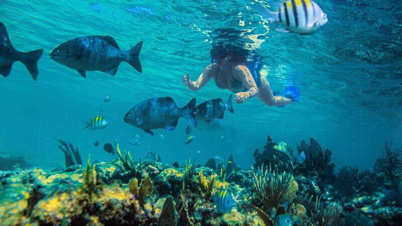 Riviera Maya: Luxury Catamaran Sailing Trip with Lunch - Price and Value Analysis