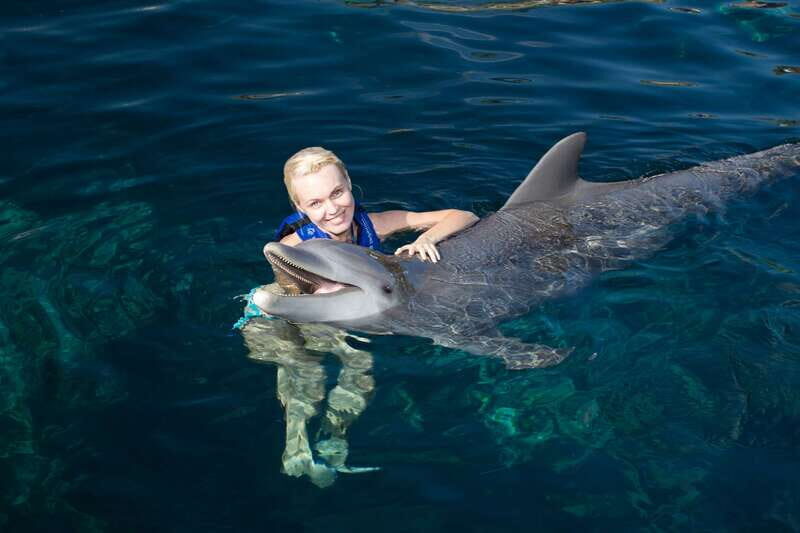 Riviera Maya: Swim with dolphins Ride - Key Points