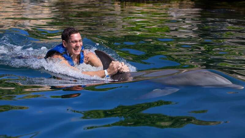 Riviera Maya: Swim with dolphins Ride - A Closer Look at the Riviera Maya Dolphin Experience